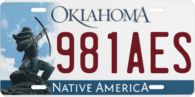 OK license plate 981AES