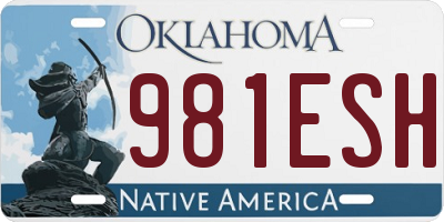 OK license plate 981ESH