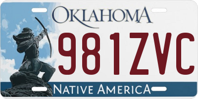 OK license plate 981ZVC