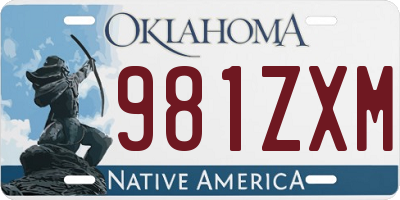 OK license plate 981ZXM