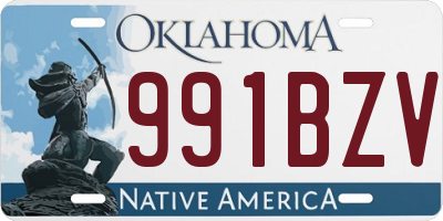OK license plate 991BZV