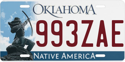 OK license plate 993ZAE