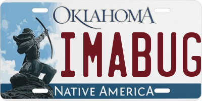 OK license plate IMABUG