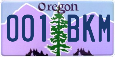 OR license plate 001BKM