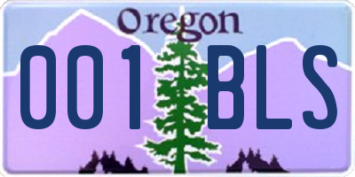 OR license plate 001BLS
