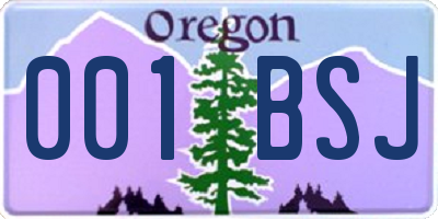 OR license plate 001BSJ