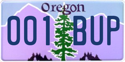OR license plate 001BUP