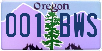 OR license plate 001BWS