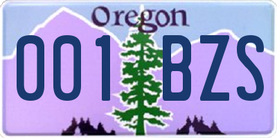 OR license plate 001BZS