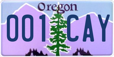 OR license plate 001CAY