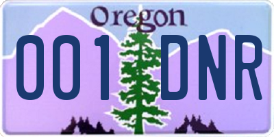 OR license plate 001DNR