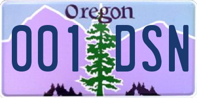 OR license plate 001DSN