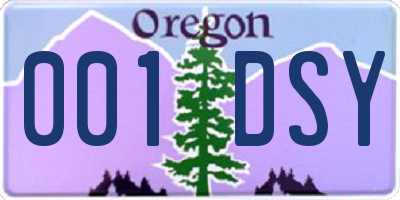 OR license plate 001DSY