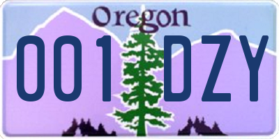 OR license plate 001DZY