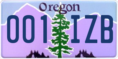 OR license plate 001IZB