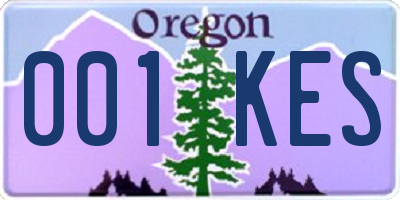 OR license plate 001KES