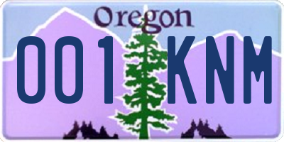 OR license plate 001KNM