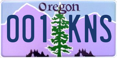 OR license plate 001KNS