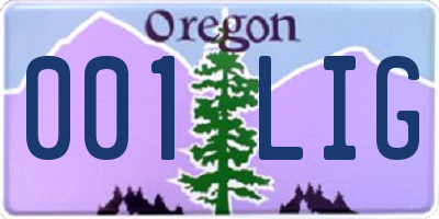 OR license plate 001LIG