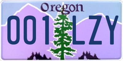 OR license plate 001LZY