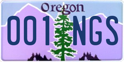 OR license plate 001NGS