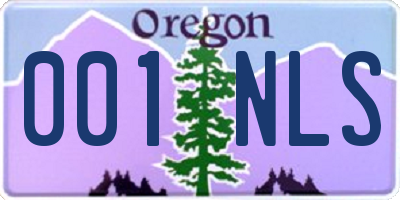 OR license plate 001NLS