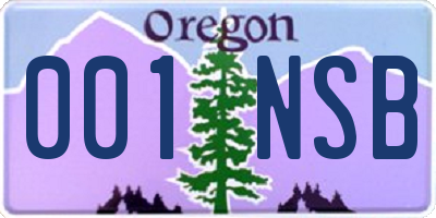 OR license plate 001NSB