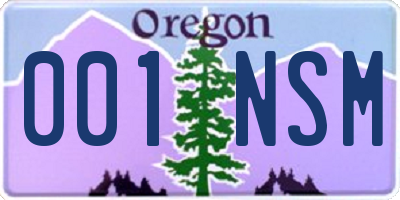 OR license plate 001NSM