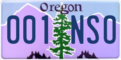 OR license plate 001NSO