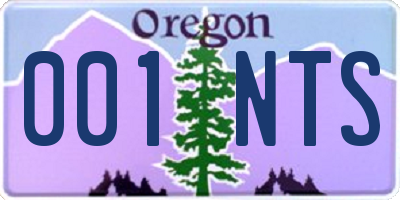 OR license plate 001NTS