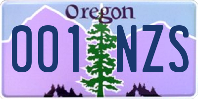 OR license plate 001NZS