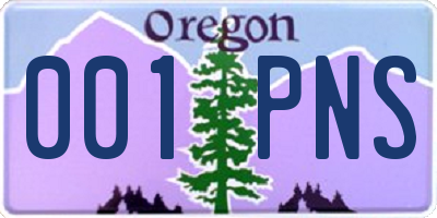 OR license plate 001PNS