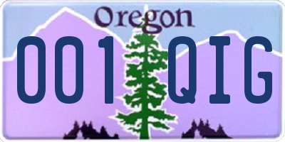 OR license plate 001QIG