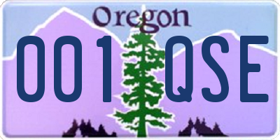 OR license plate 001QSE