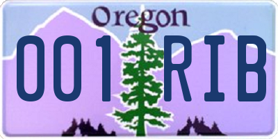 OR license plate 001RIB