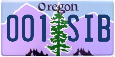 OR license plate 001SIB