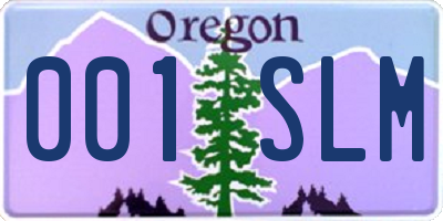 OR license plate 001SLM