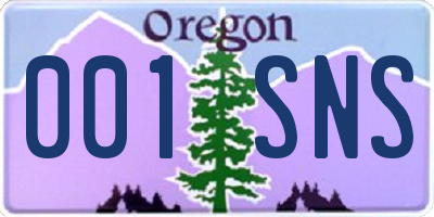 OR license plate 001SNS