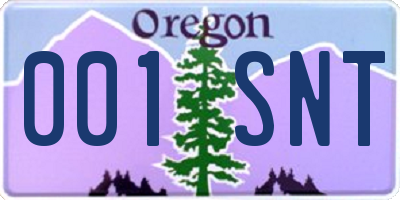 OR license plate 001SNT