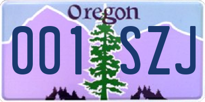 OR license plate 001SZJ