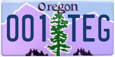 OR license plate 001TEG