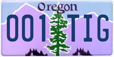 OR license plate 001TIG