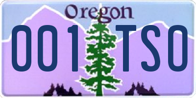 OR license plate 001TSO