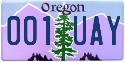 OR license plate 001UAY
