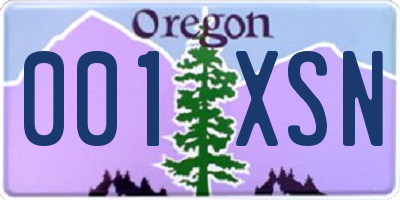 OR license plate 001XSN