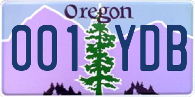 OR license plate 001YDB