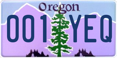 OR license plate 001YEQ