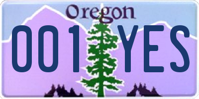 OR license plate 001YES