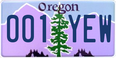 OR license plate 001YEW