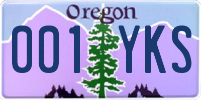 OR license plate 001YKS